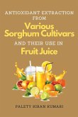 Antioxidant Extraction From Various Sorghum Cultivars and Their Use in Fruit Juice