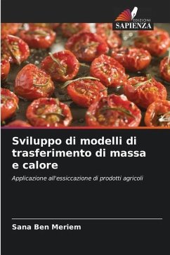 Sviluppo di modelli di trasferimento di massa e calore - Ben Meriem, Sana