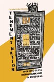 Tenement Nation (eBook, ePUB)