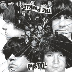 Cover Pistol
