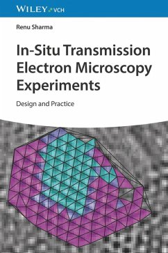 Cover In-Situ Transmission Electron Microscopy Experiments (eBook, ePUB)