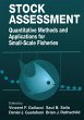 Stock Assessment (eBook, ePUB) - Bild 1