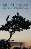 Christianity's Possible Misinterpretations, Misleading and Indoctrination (eBook, ePUB)