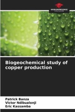 Biogeochemical study of copper production - Banza, Patrick;Ndibualonji, Victor;Kassamba, Eric