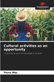 Cultural activities as an opportunity