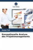 Konzeptionelle Analyse des Projektmanagements