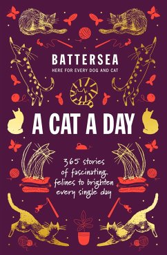 Battersea Dogs and Cats Home - A Cat a Day - Home, Battersea Dogs and Cats