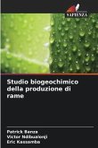 Studio biogeochimico della produzione di rame