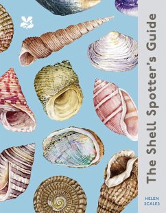 The Shell Spotter's Guide - Scales, Helen