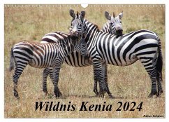 Wildnis Kenia 2024 (Wandkalender 2024 DIN A3 quer), CALVENDO Monatskalender