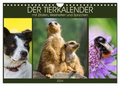 Der Tierkalender mit Zitaten, Weisheiten und Sprüchen (Wandkalender 2024 DIN A4 quer), CALVENDO Monatskalender