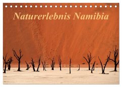 Naturerlebnis Namibia (Tischkalender 2024 DIN A5 quer), CALVENDO Monatskalender