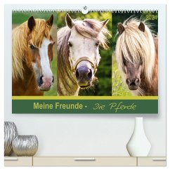 Meine Freunde - die Pferde (hochwertiger Premium Wandkalender 2024 DIN A2 quer), Kunstdruck in Hochglanz - Dölling, AD DESIGN Photo + PhotoArt, Angela