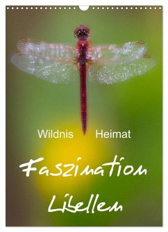 Faszination Libellen - Wildnis Heimat (Wandkalender 2024 DIN A3 hoch), CALVENDO Monatskalender