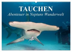 Tauchen - Abenteuer in Neptuns Wunderwelt (Wandkalender 2024 DIN A2 quer), CALVENDO Monatskalender