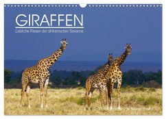 GIRAFFEN - Liebliche Riesen der afrikanischen Savanne (Wandkalender 2024 DIN A3 quer), CALVENDO Monatskalender - Tewes, Rainer