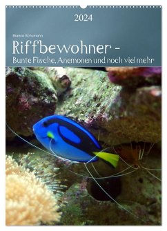 Riffbewohner - Bunte Fische, Anemonen und noch viel mehr (Wandkalender 2024 DIN A2 hoch), CALVENDO Monatskalender