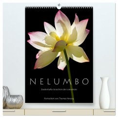 N E L U M B O ¿ Zauberhafte Ansichten der Lotosblüte (hochwertiger Premium Wandkalender 2024 DIN A2 hoch), Kunstdruck in Hochglanz