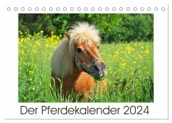 Der Pferdekalender (Tischkalender 2024 DIN A5 quer), CALVENDO Monatskalender
