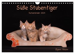 Süße Stubentiger - Katzenkinder (Wandkalender 2024 DIN A4 quer), CALVENDO Monatskalender