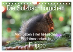 Die Sulzbachhörnchen - vom Leben einer hessischen Eichhörnchenfamilie (Tischkalender 2024 DIN A5 quer), CALVENDO Monatskalender - Adam, Heike