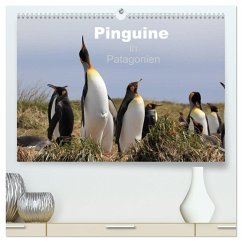 Pinguine in Patagonien (hochwertiger Premium Wandkalender 2024 DIN A2 quer), Kunstdruck in Hochglanz