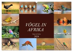 Vögel in Afrika - Magie der Farben (Wandkalender 2024 DIN A2 quer), CALVENDO Monatskalender - Herzog, Michael