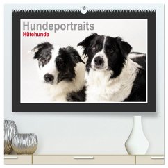 Hundeportraits - Hütehunde (hochwertiger Premium Wandkalender 2024 DIN A2 quer), Kunstdruck in Hochglanz
