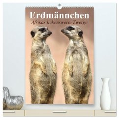 Erdmännchen - Afrikas liebenswerte Zwerge (hochwertiger Premium Wandkalender 2024 DIN A2 hoch), Kunstdruck in Hochglanz - Stanzer, Elisabeth
