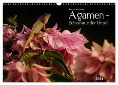 Agamen - Echsen aus der Urzeit (Wandkalender 2024 DIN A3 quer), CALVENDO Monatskalender