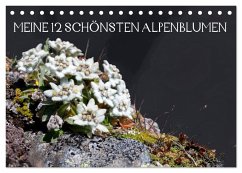 Meine 12 schönsten Alpenblumen (Tischkalender 2024 DIN A5 quer), CALVENDO Monatskalender