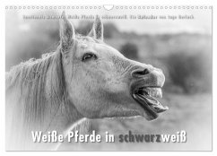 Emotionale Momente: Weiße Pferde in schwarzweiß. (Wandkalender 2024 DIN A3 quer), CALVENDO Monatskalender