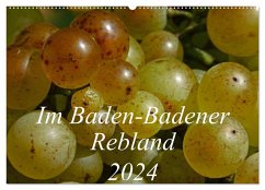 Im Baden-Badener Rebland 2024 (Wandkalender 2024 DIN A2 quer), CALVENDO Monatskalender - Stolzenburg, Kerstin