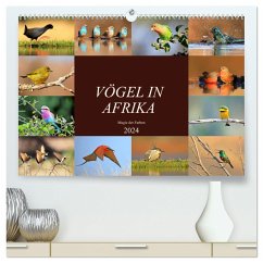 Vögel in Afrika - Magie der Farben (hochwertiger Premium Wandkalender 2024 DIN A2 quer), Kunstdruck in Hochglanz