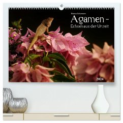Agamen - Echsen aus der Urzeit (hochwertiger Premium Wandkalender 2024 DIN A2 quer), Kunstdruck in Hochglanz