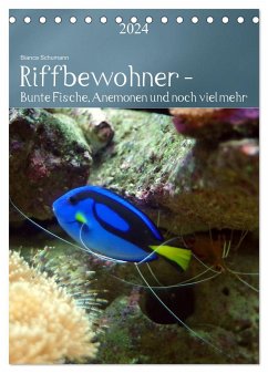 Riffbewohner - Bunte Fische, Anemonen und noch viel mehr (Tischkalender 2024 DIN A5 hoch), CALVENDO Monatskalender