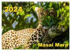 Masai Mara 2024 (Wandkalender 2024 DIN A3 quer), CALVENDO Monatskalender