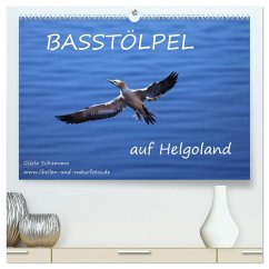 Basstölpel auf Helgoland (hochwertiger Premium Wandkalender 2024 DIN A2 quer), Kunstdruck in Hochglanz