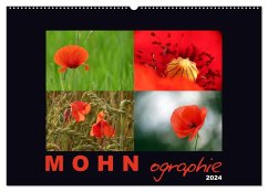 MOHNographie (Wandkalender 2024 DIN A2 quer), CALVENDO Monatskalender