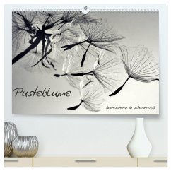 Pusteblume - Impressionen in schwarzweiß (hochwertiger Premium Wandkalender 2024 DIN A2 quer), Kunstdruck in Hochglanz