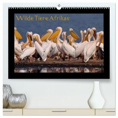 Wilde Tiere Afrikas (hochwertiger Premium Wandkalender 2024 DIN A2 quer), Kunstdruck in Hochglanz
