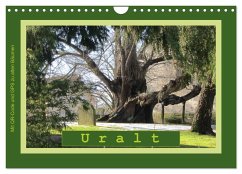Uralt - Mit QR-Code und GPS zu alten Bäumen (Wandkalender 2024 DIN A4 quer), CALVENDO Monatskalender
