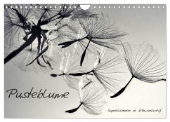 Pusteblume - Impressionen in schwarzweiß (Wandkalender 2024 DIN A4 quer), CALVENDO Monatskalender