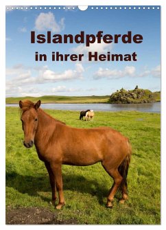 Islandpferde in ihrer Heimat (Wandkalender 2024 DIN A3 hoch), CALVENDO Monatskalender