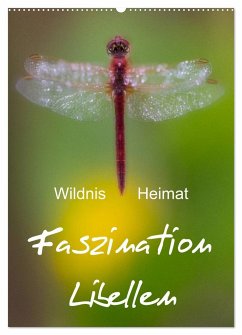 Faszination Libellen - Wildnis Heimat (Wandkalender 2024 DIN A2 hoch), CALVENDO Monatskalender