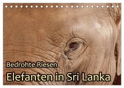 Bedrohte Riesen - Elefanten in Sri Lanka (Tischkalender 2024 DIN A5 quer), CALVENDO Monatskalender