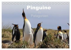 Pinguine in Patagonien (Tischkalender 2024 DIN A5 quer), CALVENDO Monatskalender