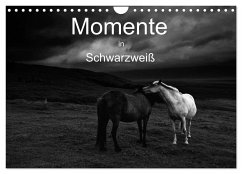 Momente in Schwarzweiß (Wandkalender 2024 DIN A4 quer), CALVENDO Monatskalender