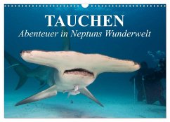 Tauchen - Abenteuer in Neptuns Wunderwelt (Wandkalender 2024 DIN A3 quer), CALVENDO Monatskalender