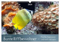Bunte Riffbewohner - Fische, Anemonen und noch viel mehr (Wandkalender 2024 DIN A3 quer), CALVENDO Monatskalender